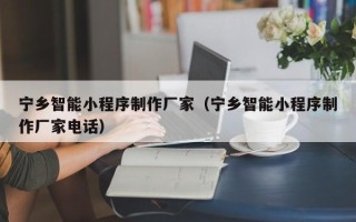 防城港宁乡智能小程序制作厂家（宁乡智能小程序制作厂家电话）