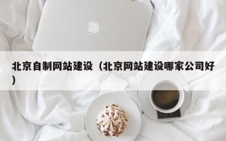 防城港北京自制网站建设（北京网站建设哪家公司好）