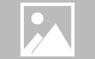 防城港网站建设许昌论坛（许昌网站seo）